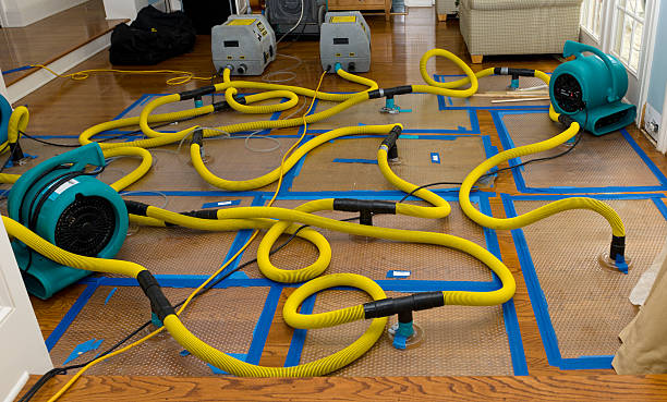 Professional Flood Damage Restoration technician working in Saint Albans, NY